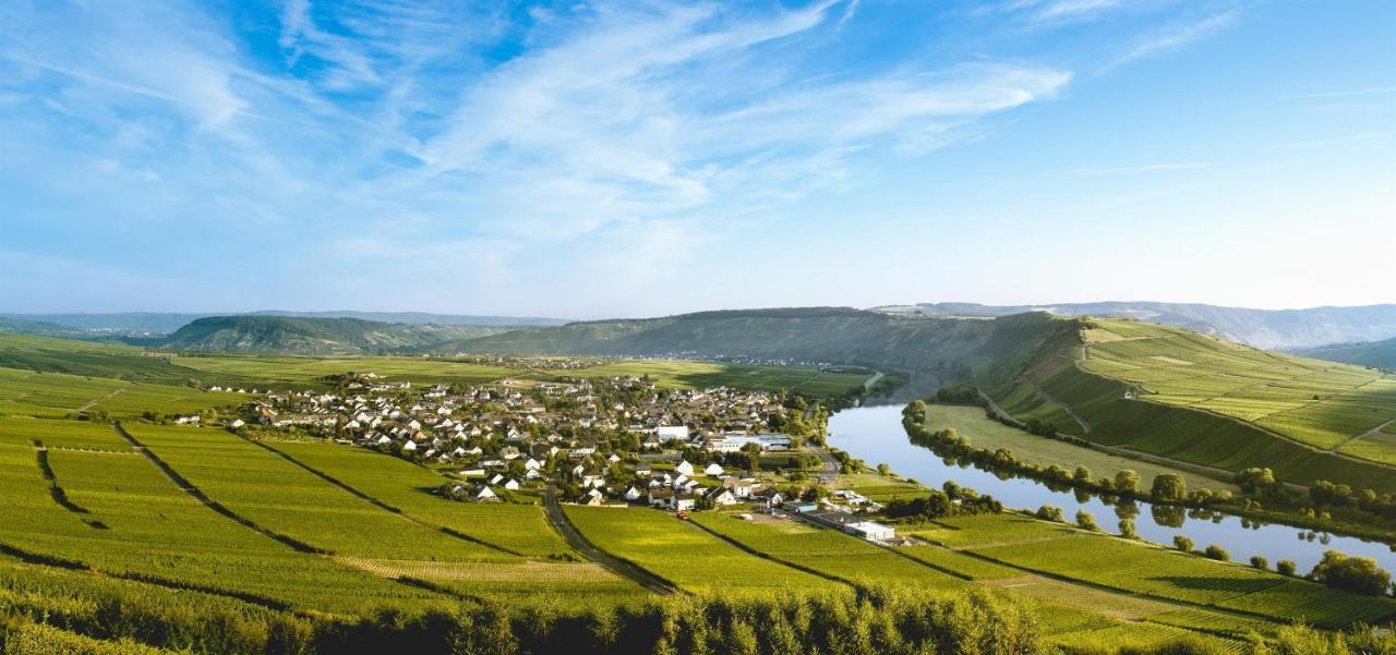 Ferienweingut Ulrike Thul Apartment Leiwen Ngoại thất bức ảnh