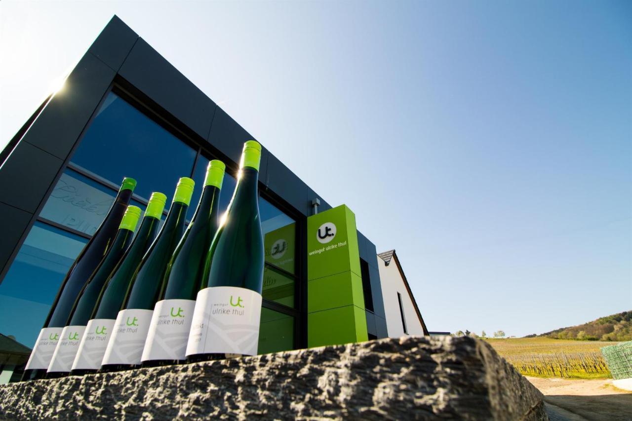Ferienweingut Ulrike Thul Apartment Leiwen Ngoại thất bức ảnh
