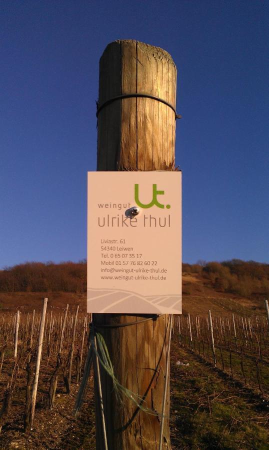 Ferienweingut Ulrike Thul Apartment Leiwen Ngoại thất bức ảnh